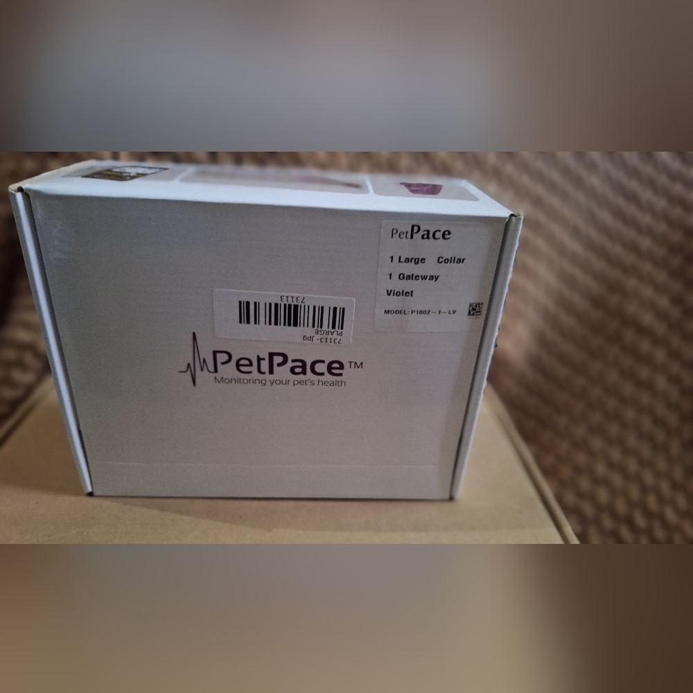 Pet pace